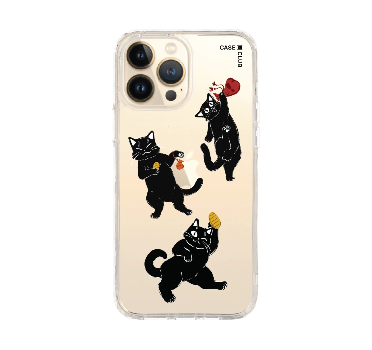 ชีวิตประจำวันของแมวดำ